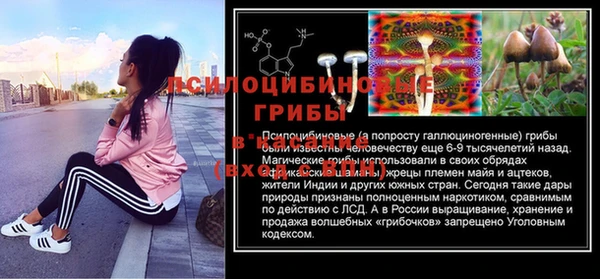 винт Алексеевка