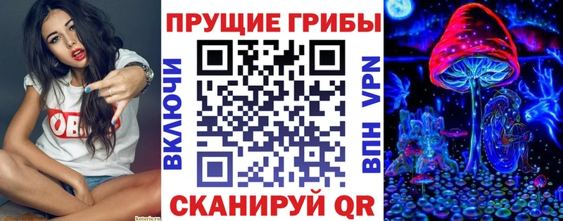 Псилоцибиновые грибы ЛСД  Амурск 